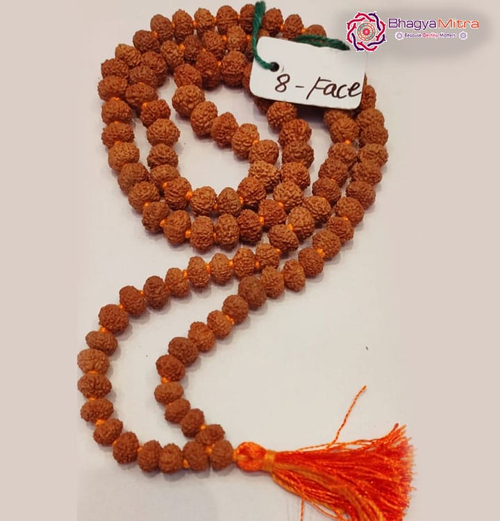 8 Face Rudrakash Mala 108 Beads